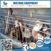 China manufacturers produce customized duck breeding equipment